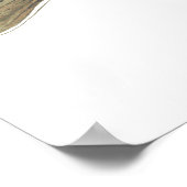 Dolly Varden Trout Art Poster (Ecke)