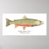 Dolly Varden Trout Art Poster (Vorne)