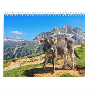 Dolomiti - alpine Weide Kalender