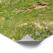 Dolomiti - Fedaia Pass mit See Poster (Ecke)