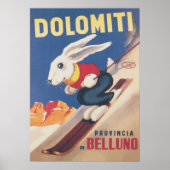 Dolomiti Ski Bunny Vintage Poster (Vorne)