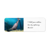Dolphin (Vorne)