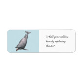 Dolphin (Vorne)