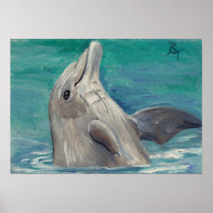 Dolphin Aceum Poster Print