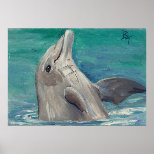 Dolphin Aceum Poster Print (Vorne)