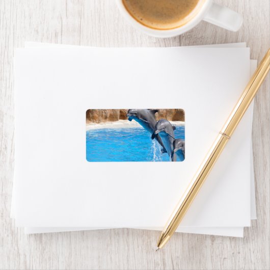 DOLPHIN ADRESSAUFKLEBER (Insitu)