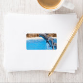 DOLPHIN ADRESSAUFKLEBER (Insitu)