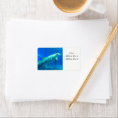 Dolphin-Adressetiketten Adressaufkleber (Insitu)