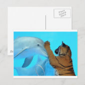Dolphin and Tiger meet Postkarte (Vorne/Hinten)