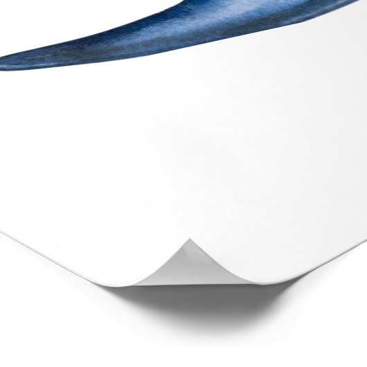 Dolphin Art Poster (Ecke)