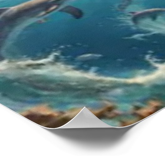 Dolphin Art Poster (Ecke)