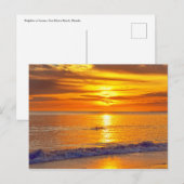 Dolphin at Sunset, Fort Myers Beach, Florida Postkarte (Vorne/Hinten)
