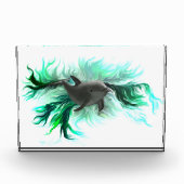 Dolphin Baby Fotoblock (Vorderseite)