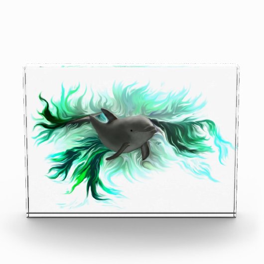 Dolphin Baby Fotoblock (Vorderseite)