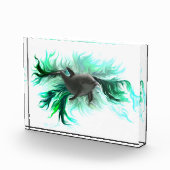 Dolphin Baby Fotoblock (Rechts)