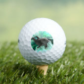 Dolphin Baby Golfball (Insitu T-Shirt)