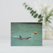 Dolphin-Ball Postkarte (Stehend Vorderseite)