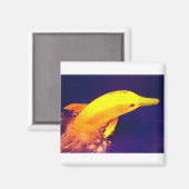 Dolphin Banana Magnet (Vorderseite/Rückseite)