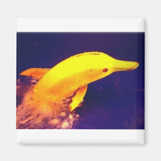 Dolphin Banana Magnet