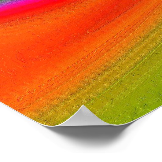 Dolphin Bay Print Poster (Ecke)