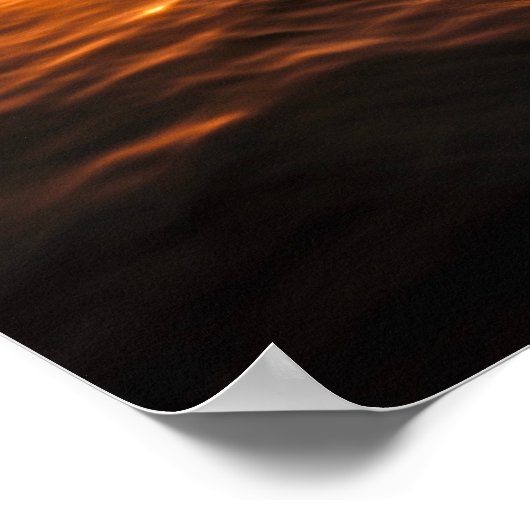 Dolphin bei Golden Sunset Poster (Ecke)