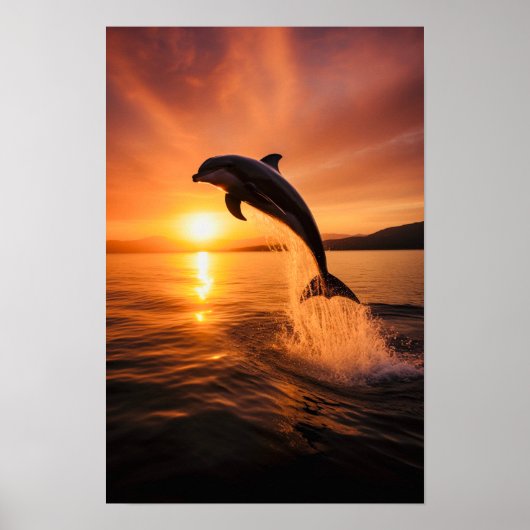 Dolphin bei Golden Sunset Poster (Vorne)