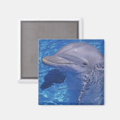 Dolphin Bottlenoe, Tursiops truncatus Magnet (Vorderseite/Rückseite)