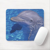 Dolphin Bottlenoe, Tursiops truncatus Mousepad (Mit Mouse)