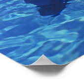 Dolphin Bottlenoe, Tursiops truncatus Poster (Ecke)