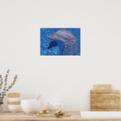 Dolphin Bottlenoe, Tursiops truncatus Poster (Küche)