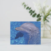 Dolphin Bottlenoe, Tursiops truncatus Postkarte (Stehend Vorderseite)