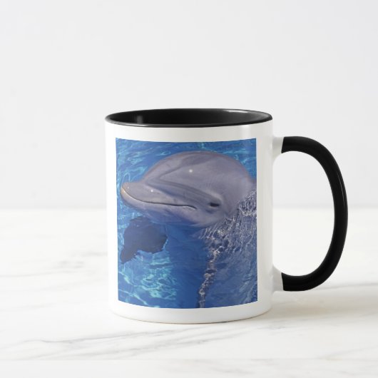 Dolphin Bottlenoe, Tursiops truncatus Tasse (Rechts)