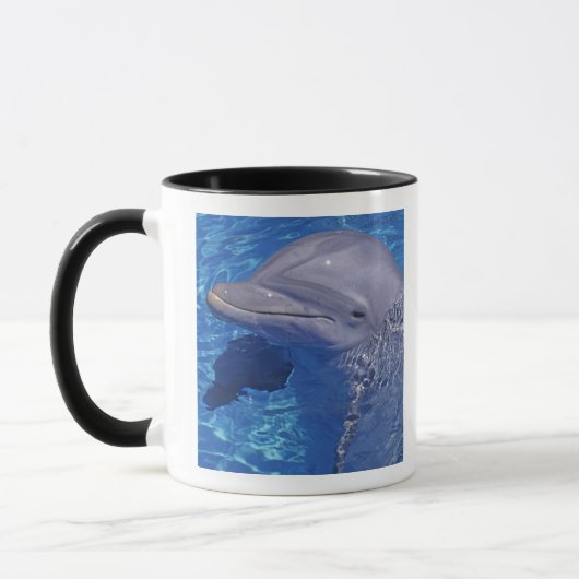 Dolphin Bottlenoe, Tursiops truncatus Tasse (Links)