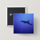 Dolphin Button (Vorne & Hinten)