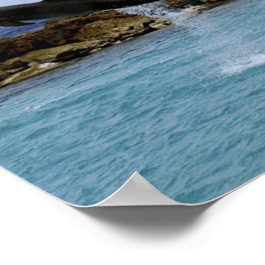 Dolphin Dance Poster (Ecke)