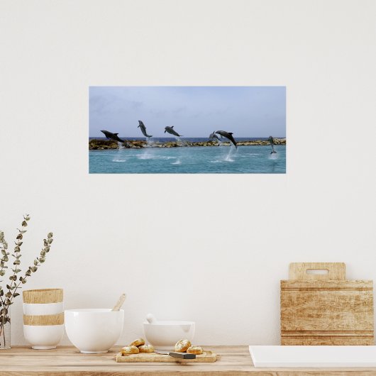 Dolphin Dance Poster (Küche)
