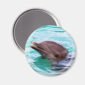 Dolphin Design Magnet (Vorderseite/Rückseite)