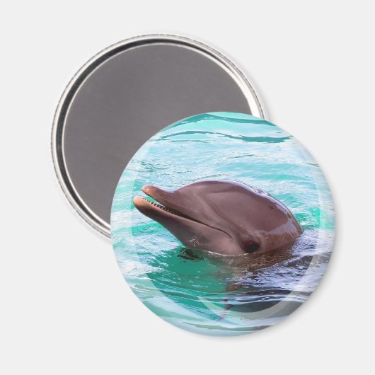 Dolphin Design Magnet (Vorderseite/Rückseite)