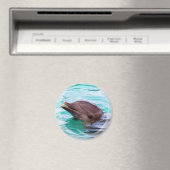 Dolphin Design Magnet (In Situ (Geschirrspüler))