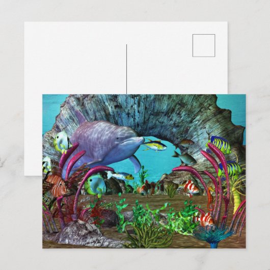 Dolphin Discovery 2 3D Aquarium Postkarte (Vorne/Hinten)