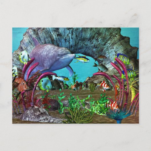 Dolphin Discovery 2 3D Aquarium Postkarte (Vorderseite)