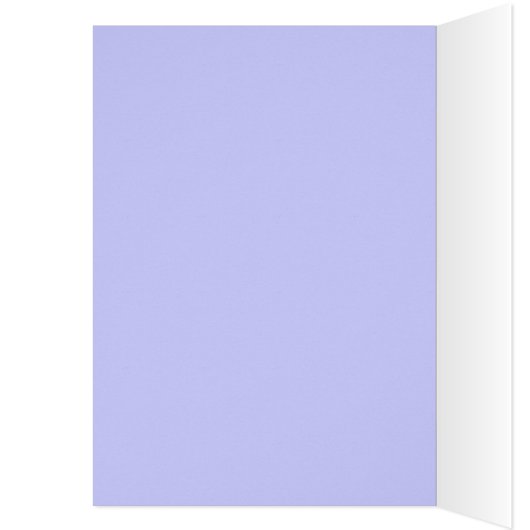 Dolphin Diving with Rainbow (Innen (Links))