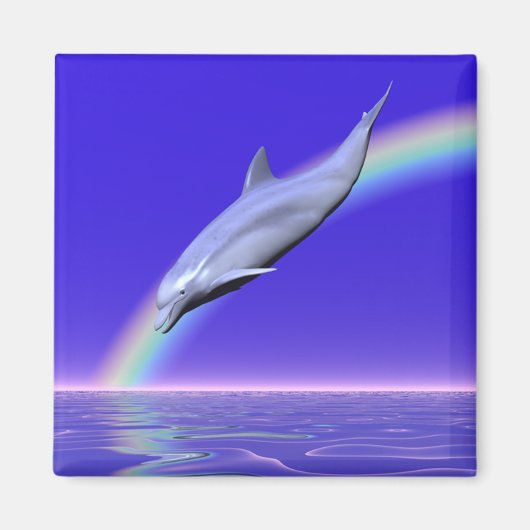 Dolphin Diving with Rainbow Magnet (Vorne)