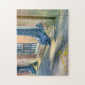 Dolphin Downspout Savannah Puzzle (Vertikal)