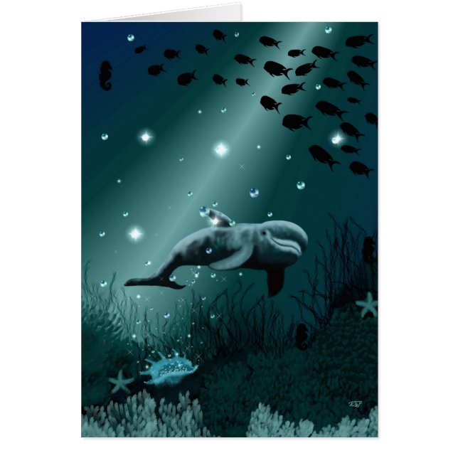 Dolphin Dream (Vorne)