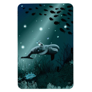 Dolphin Dream Magnet