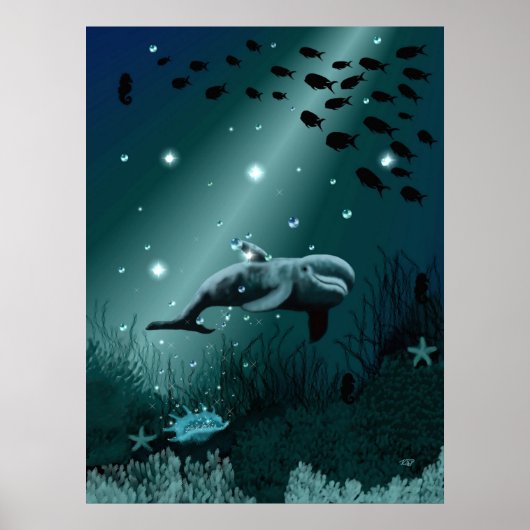 Dolphin Dream Poster (Vorne)