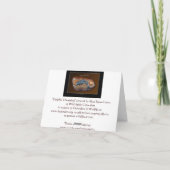 DOLPHIN DREAMING Aboriginal Art Note Card Karte (Rückseite)