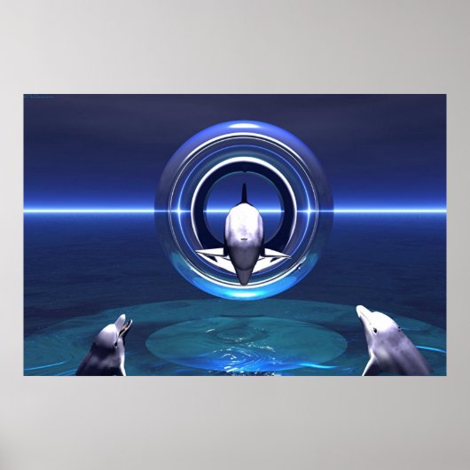 Dolphin Dreams Poster (Vorne)