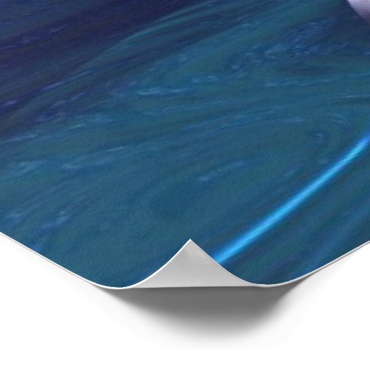 Dolphin Dreams Poster (Ecke)